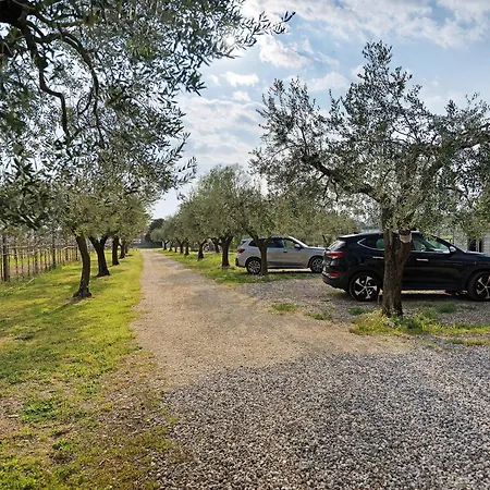 Bardolivo - Adults Only Bardolino