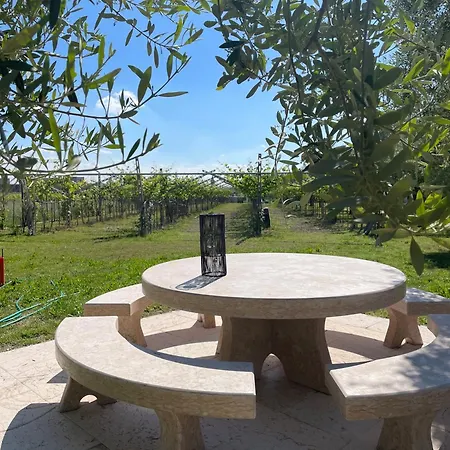 Apartment Bardolivo - Adults Only