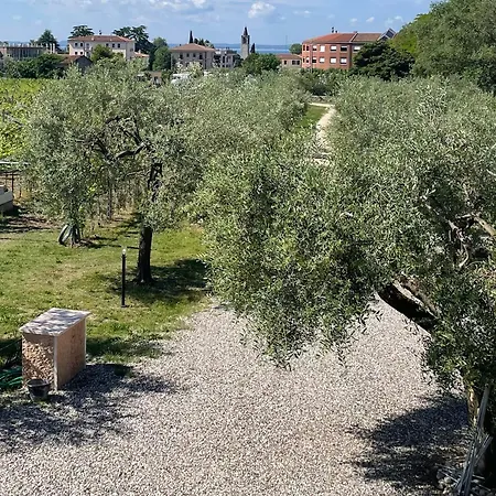 Bardolivo - Adults Only Bardolino