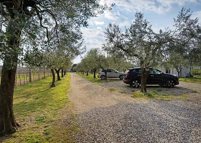 Bardolivo - Adults Only Bardolino