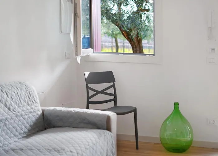 Bardolivo - Adults Only