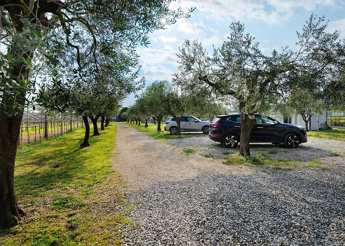 Bardolivo - Adults Only Bardolino